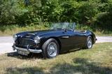 Austin Healey Andere