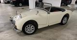 Austin Healey Sprite MK 1 Frogeye - Austin Healey: Mk1