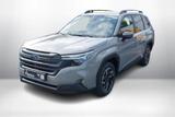 Subaru Forester 2.0 Exclusive, AWD,Navi,RFK,SHZ - Subaru Forester SH mit Benzin-Antrieb