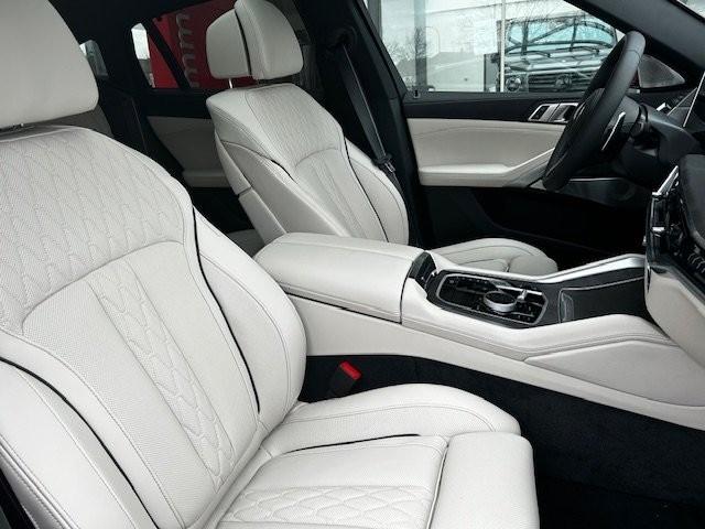BMW X6 xDrive40d/SEPANG BRONZE/1OF/B&W/FULL-FULL! – 16
