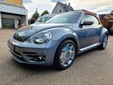 Volkswagen Beetle Cabriolet Karmann BMT+LED+XENON+NAVI+SHZ+