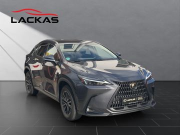 Lexus NX 350h - 7