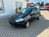 Fiat Grande Punto 1.2 8V Active/1.Hand/Tüv Neu/55TKM - Fiat Grande Punto: 2.5