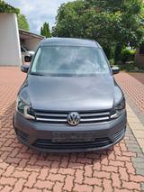 Volkswagen Caddy Maxi - graue Volkswagen Caddy Maxi