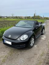 Volkswagen VW New Beetle Cabrio 1.2 77KW/105PS - Volkswagen Beetle: New
