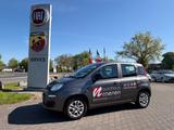 Fiat Panda Easy DAB*Klima*EL FH*Scheckheftgepfl. - Fiat Panda Gebrauchtwagen in Mönchengladbach