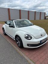 Volkswagen Beetle 1.4 TSI DSG Exclusive Sport Cabriolet... - Volkswagen Beetle: Exclusive Sport