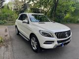 Mercedes-Benz Mercedes Benz ML 350 - Mercedes-Benz ML 350 Kombi Gebrauchtwagen