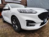 Ford Kuga 1.5 EcoBoost 110kW ST-Line ST-Line - Ford Kuga von privat