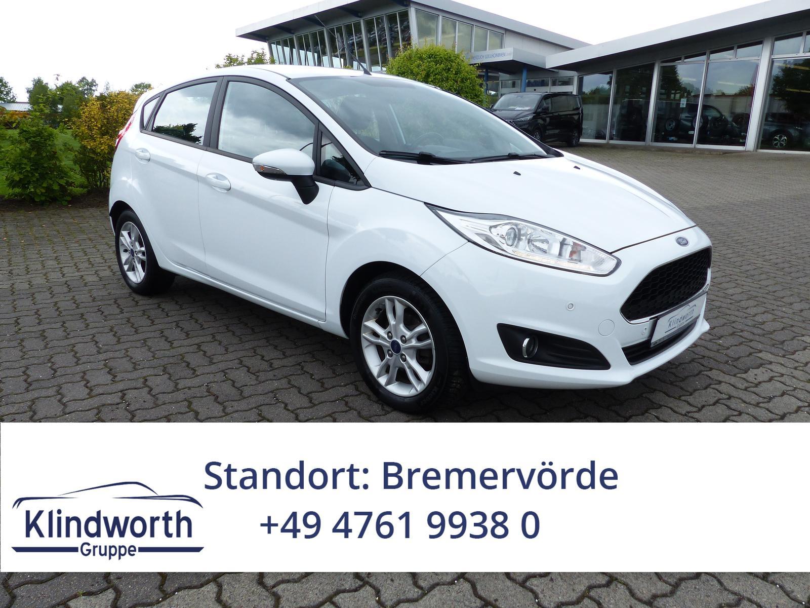 Ford Fiesta 1.0 EcoBoost Celebration Winter-Paket+AHK