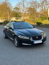 Jaguar XF 3.0 L V6 Diesel S - - Jaguar XF in Duisburg