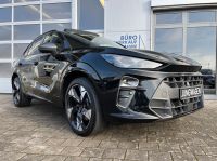 Cupra Terramar 2.0 TSI DSG 4D VZ NAV HUD PANO AHK 5J G bei Autohaus Landmann & Maier OHG