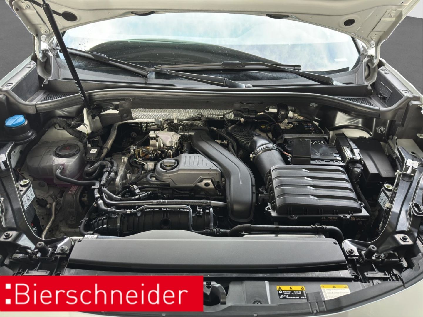 Cupra Terramar - Bild 28