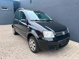 Fiat Panda 1.2 8V Climbing 4X4 - Fiat Panda: Allradantrieb, Climbing