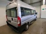 Fiat Ducato 33 L2H2 Rollstuhlrampe Luxusbus Panorama - Fiat Ducato: Panorama Luxusbus