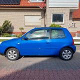 Volkswagen Lupo/ Faltdach/Oxford 1.4 - Volkswagen Lupo: Oxford
