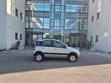Fiat Panda 1.2 8V Climbing 4X4 - Fiat Panda Gebrauchtwagen in Nürnberg