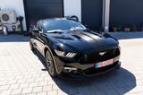 Ford Mustang GT  Recaro,Brembo,   LPG - Ford Mustang Gebrauchtwagen