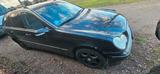 Mercedes-Benz mercedes c220  2003 jahre - Mercedes-Benz C 220 in Magdeburg