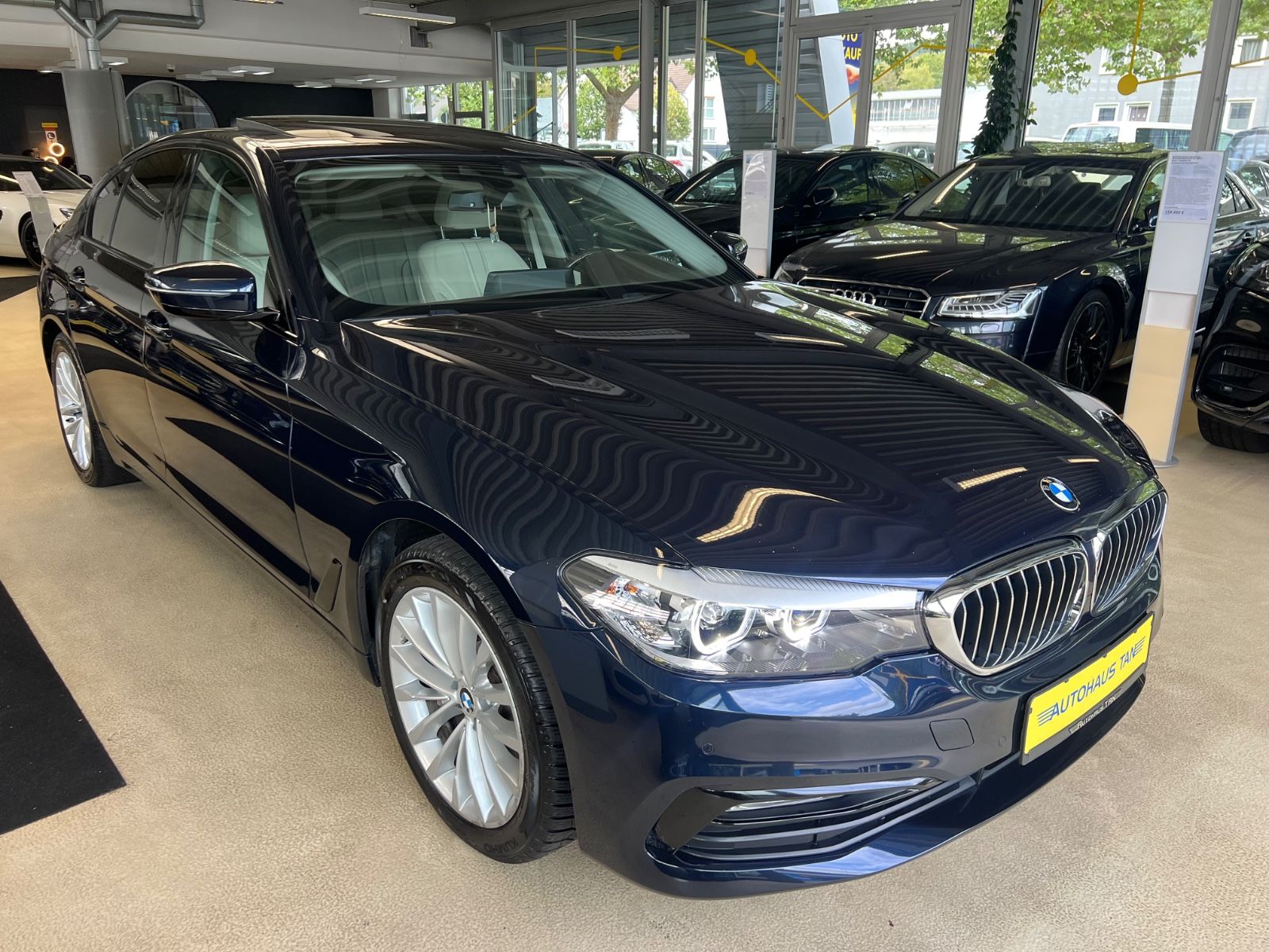 Fahrzeugabbildung BMW 525 d Lim. Luxury Line * SCHIEBEDACH *AMBIENTE*