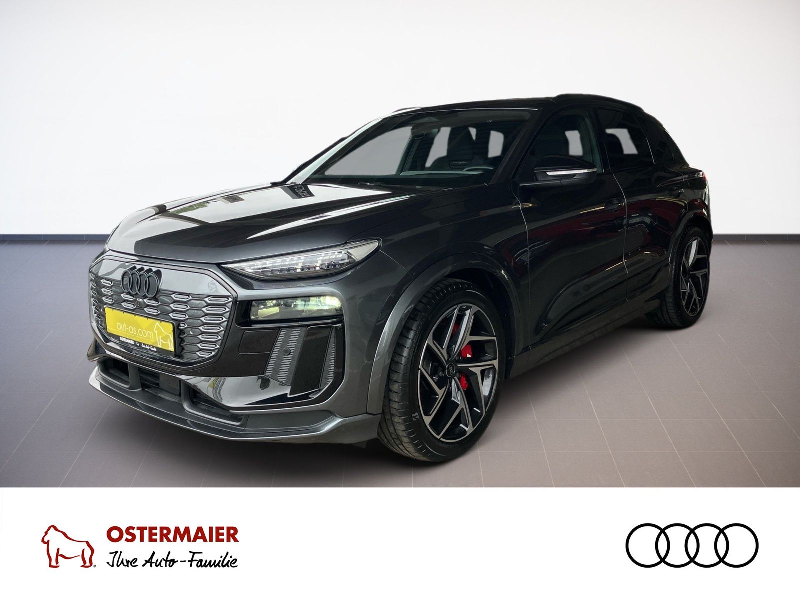 Audi SQ6 E-TRON MMI Experience. PANORAMA.ACC