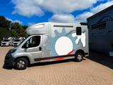 Peugeot Boxer MSG 1-2 Pferdetransporter - Tier- & Pferdetransport für 2 Pferde