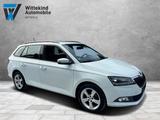 Skoda Fabia 1.0l MPI 55kW Active Combi - Skoda Gebrauchtwagen in Detmold