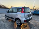 Fiat Panda Lounge Sportsitze Sport Lenkrad - Fiat Panda: Sport