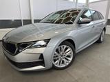 Skoda Octavia Combi SELECTION 1.5 TSI MHEV DSG MATR... - Skoda Octavia Tageszulassungen