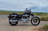 Harley-Davidson Sportster 883 XLH - TÜV neu - HARLEY-DAVIDSON 1995 SPORTSTER