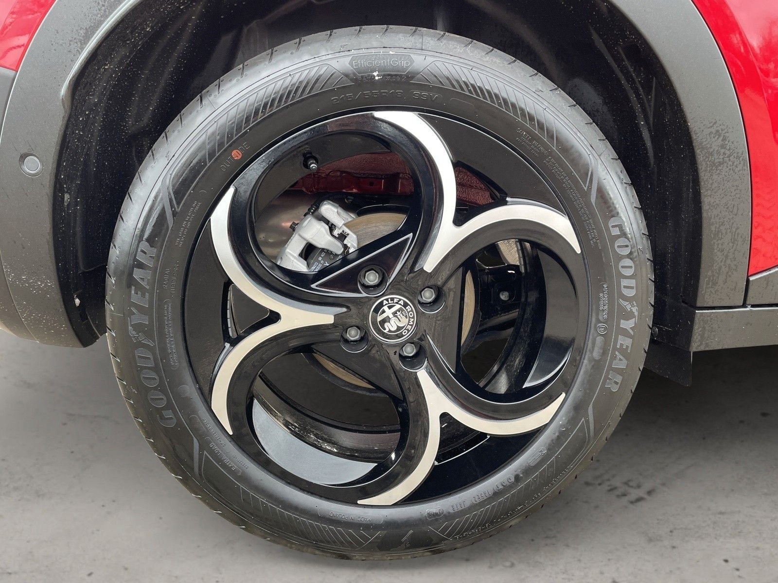 Alfa Romeo Junior - Bild 11