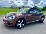 Volkswagen Beetle Cabriolet 1.4 TSI BMT  ALLSTAR