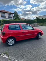 Volkswagen Polo 6N 1.4 60 PS Klima ZV ROST - gebrauchte VW Polo aus dem Jahr 1998