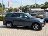 Mercedes-Benz ML 250 CDI BlueTec 4Matic *Leder *Panorama *Navi - graue Mercedes-Benz ML 250