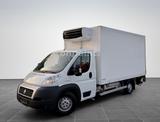 Fiat Ducato Tiefkühlkoffer XARIOS 500 *1.HAND*79 TKM* - Angebote