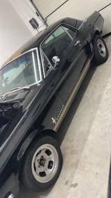 Ford Mustang   V8   1967   200Ps.  H-Kennzeichen  - Ford Mustang aus 1967: Coupe