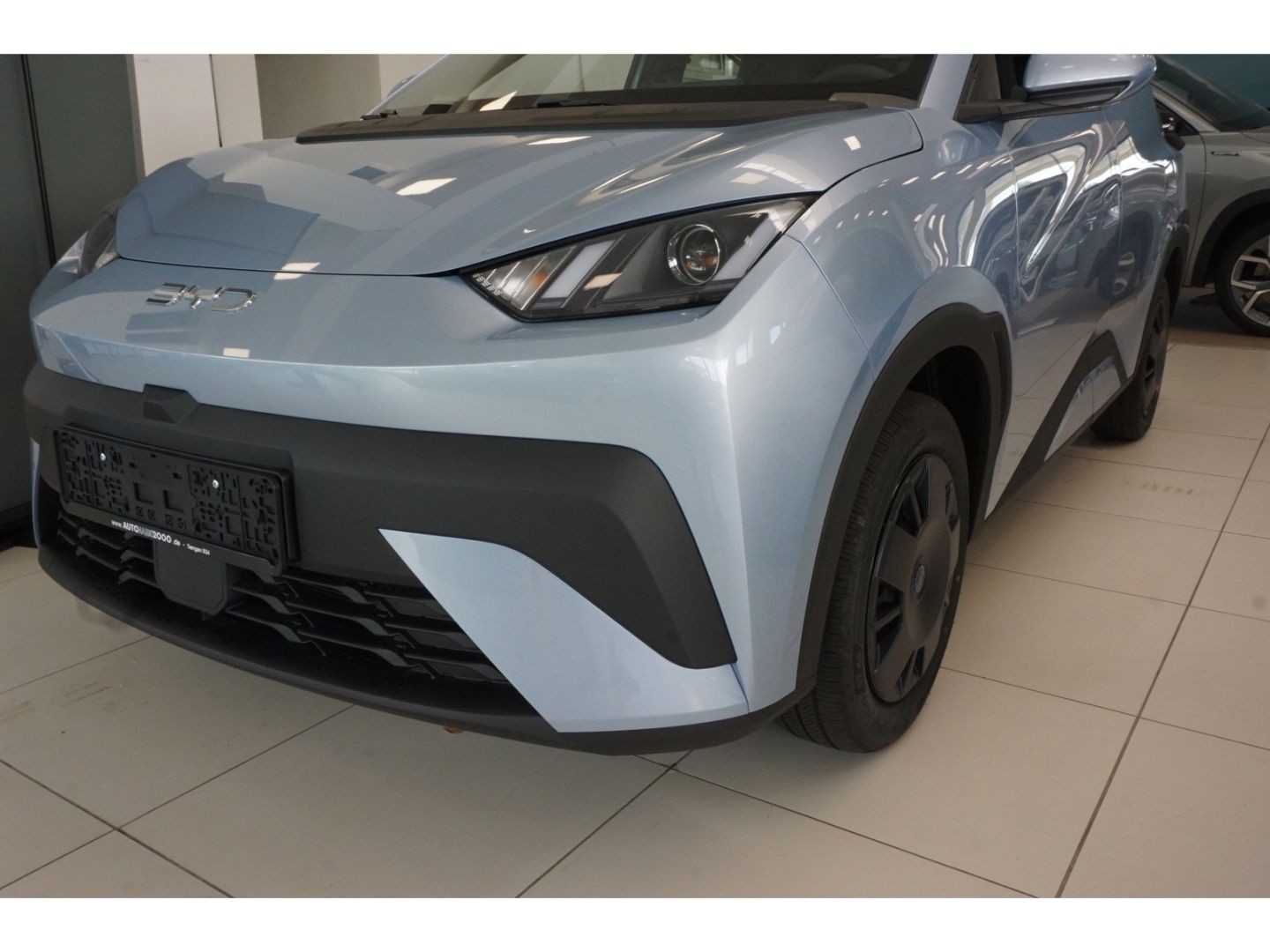 BYD DOLPHIN SURF