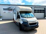 Peugeot Boxer MSG 1-2 Pferdetransporter - Tier- & Pferdetransport für 2 Pferde