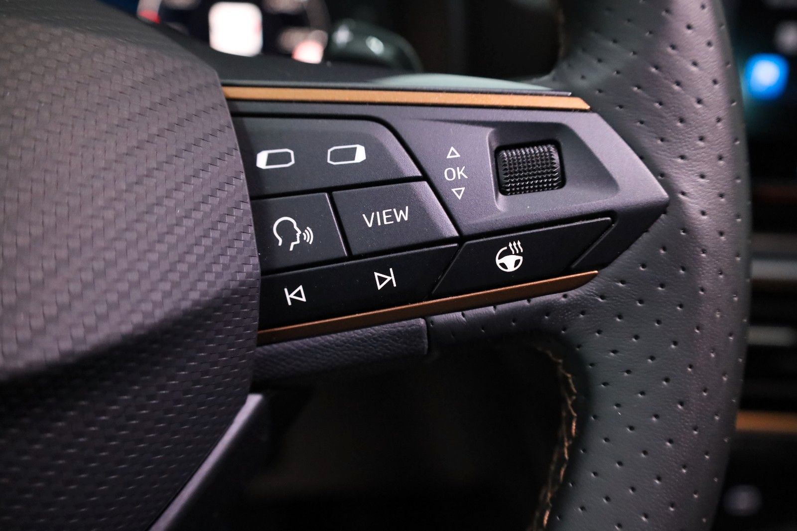 Fahrzeugabbildung CUPRA Formentor 4Drive,T,Leder,Navi,360Kamera,ACC+WR