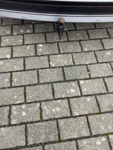 Volkswagen Tiguan 2.0 TSI OPF 140kW DSG 4MOT Comfortlin... - VW Tiguan von privat