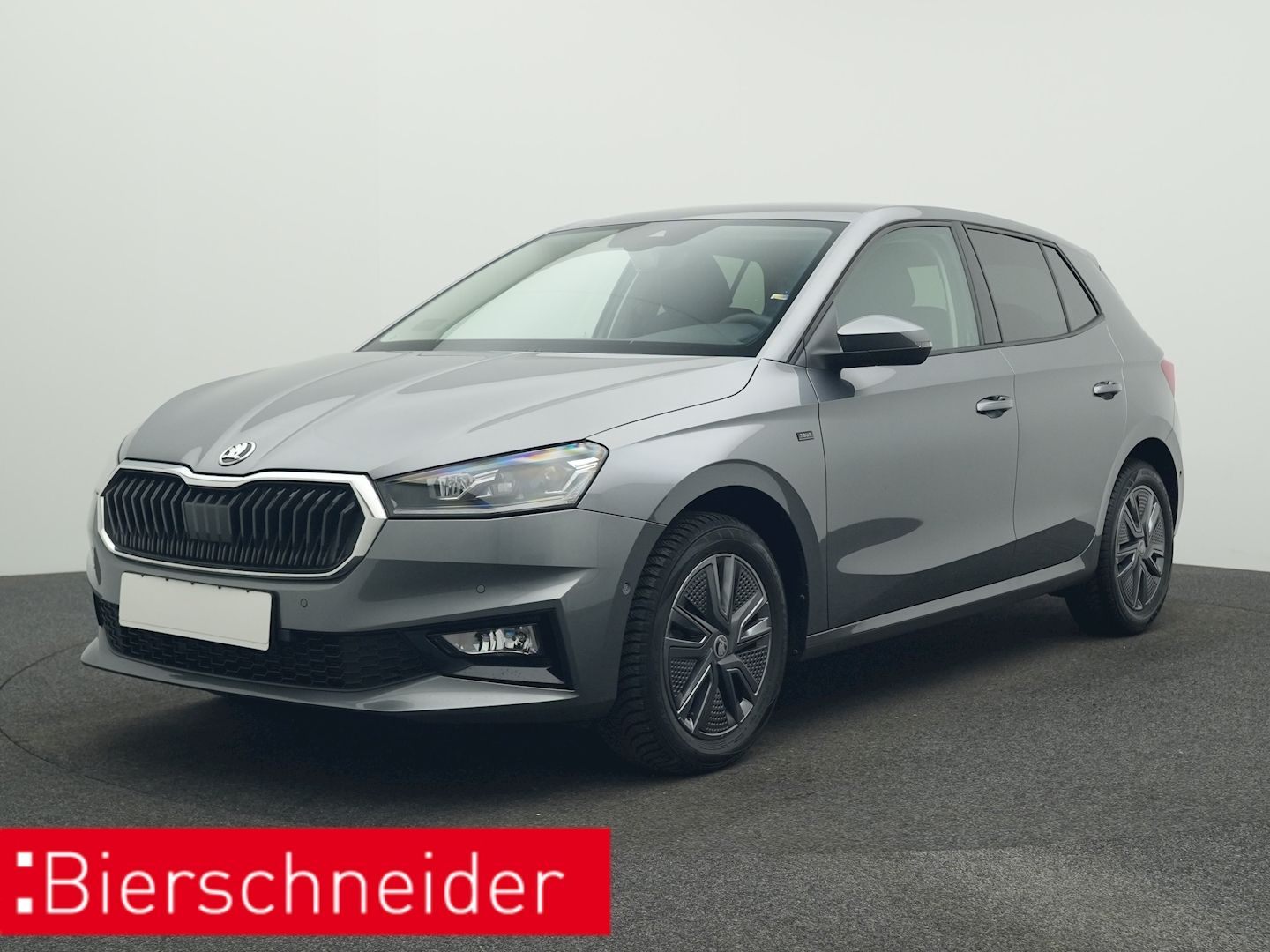 Skoda Fabia 1.0 TSI DSG TOUR LED NAVI SHZ