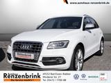 Audi SQ5 3.0 TDI competition quattro XENON+NAVI - Audi SQ5 in Osnabrück