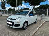 Fiat Panda 1.2/ Serivce Neu/ TÜV 10/26/Garantie