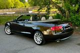 Audi A5 3.0 TDI (DPF) S tronic quattro Cabriolet - - Audi A5: Braun, Cabrio