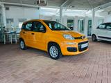 Fiat Panda Easy 1.2 Klima 1. Hand NR scheckh PDC - Fiat: Orange