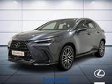 Lexus NX 2.5 Hybrid Luxury 4WD e-CVT - Lexus aus 2022: Nx