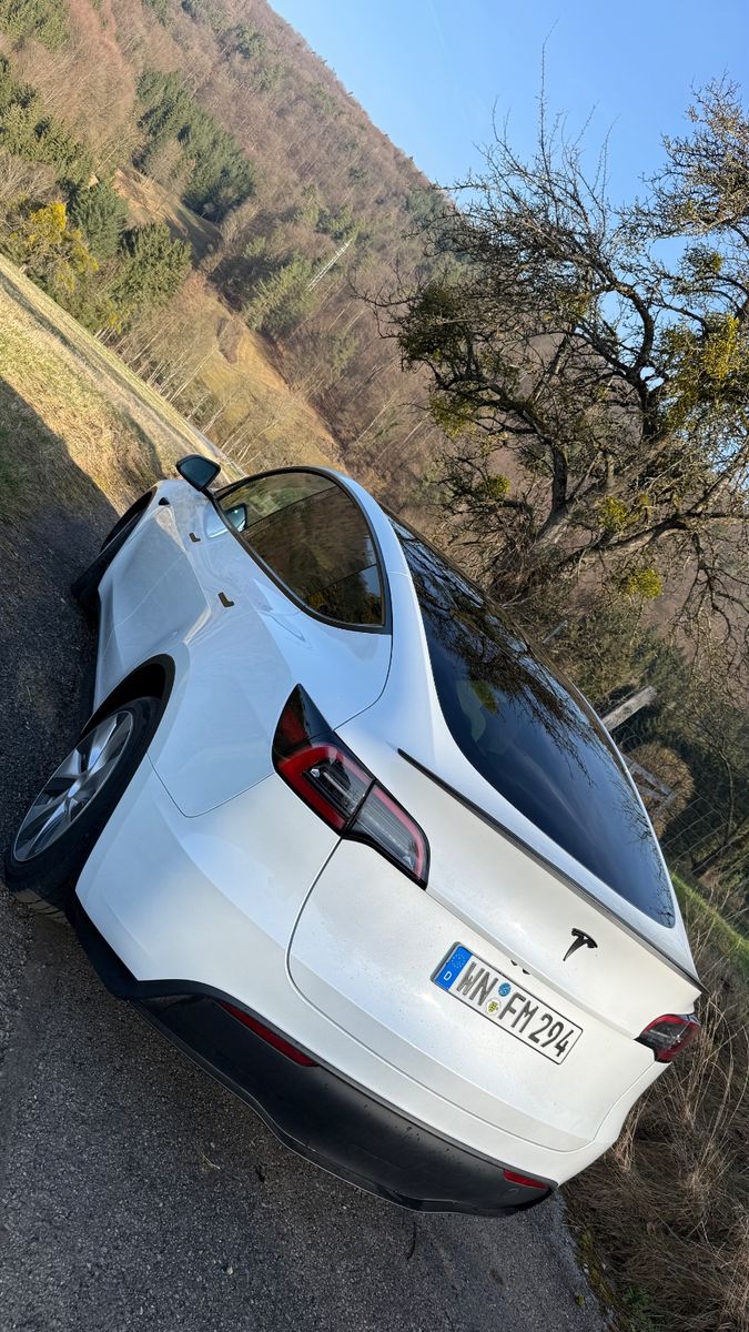 Tesla Model Y Standard Range Hinterradantrieb RWD  foto 5