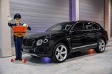 Bentley Bentayga V8 Panorama, Bi Color Leder - Bentley aus 2018