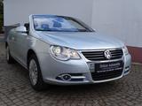 Volkswagen Eos 1.6 - Sportsitze, Panorama, Sitzheizung - Volkswagen Eos mit Benzin-Antrieb: Cabrio
