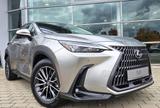 Lexus NX 450h+ E-FOUR Executive Line - silberne Lexus NX-Serie